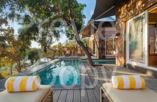 Mendarda Resort | Wild Forest Sasan Gir Wildlife sanctuary