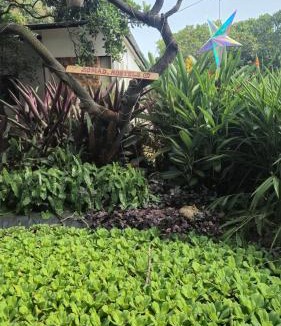 Auroville Hostel | Zomad Hostels Pondicherry, Auroville Road