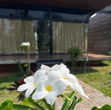 Alpha Wellness Resort Mysore