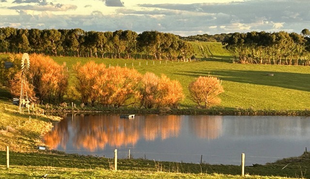 Barn Loft with sweeping ocean and farm views, near Port Campbell and 12 Apostles in Port Campbell