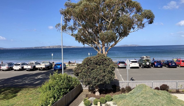 Beachfront accommodation located 20 meters to beach, local restaurants and bars. in Kingston Beach