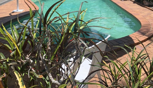 Beachfront at Silver Sands - opposite Shelly Beach in Hervey Bay - Heated Pool in Torquay
