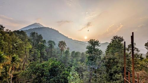 Belmonte