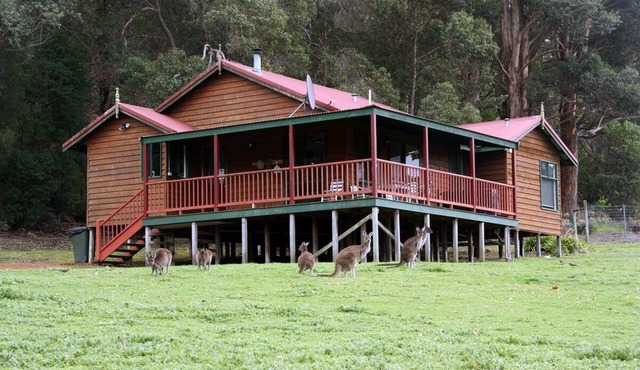 Cabins Nestled in 170 Acres of old Growth Forest Near the Valley of the Giants in North Walpole