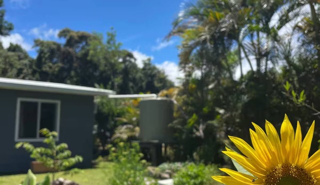 Cloud Cottage Eungella - Family friendly in beautiful rainforest mountain town! in Eungella