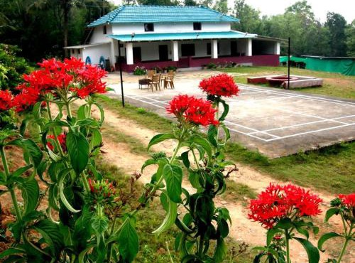 Coffee Grove Homestay