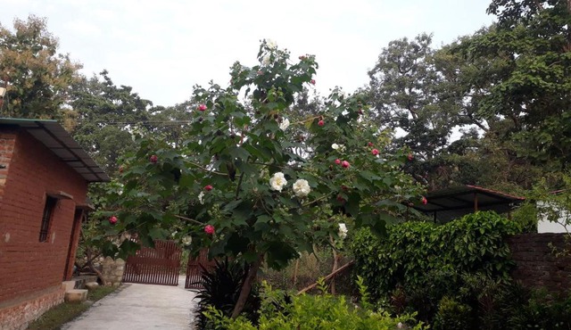 Corbett Green Orchard in Rāmnagar