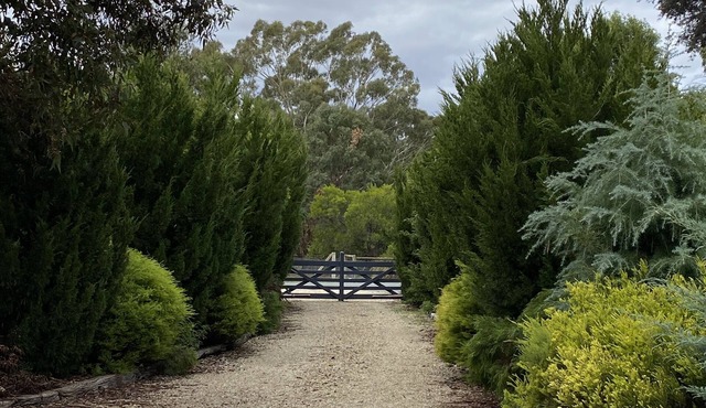 Country retreat 4 bedroom on an acre of lush gardens luxury outdoor area. in Kirwans Bridge