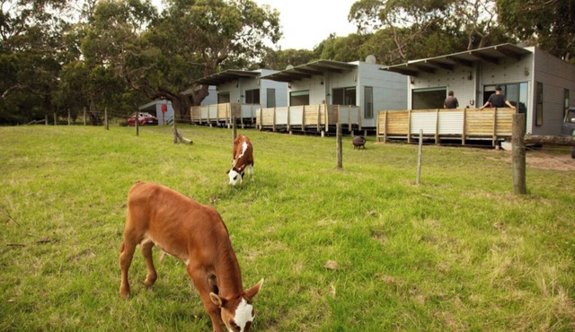 DE 1 - Deluxe Open Plan Cabin in Cape Otway