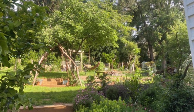Emerald Forest Retreat - sunset views and private garden in Emerald