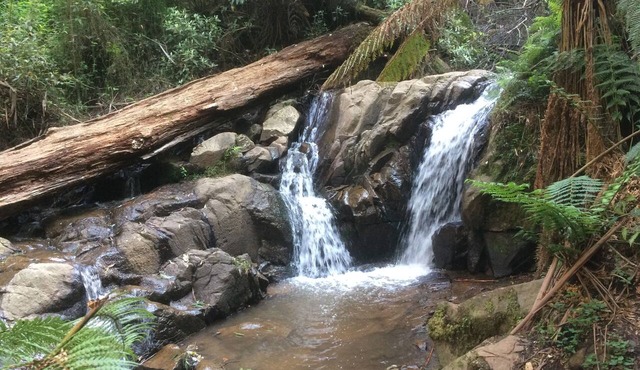 Emerald Ridge in Emerald