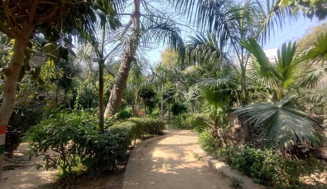 Gavari India's Delhi Hostel