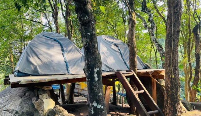 gladstone natural Camping in Kalpetta