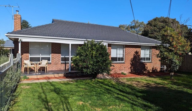 Gwendoline Cottage, Pets, Main St. Station in Croydon