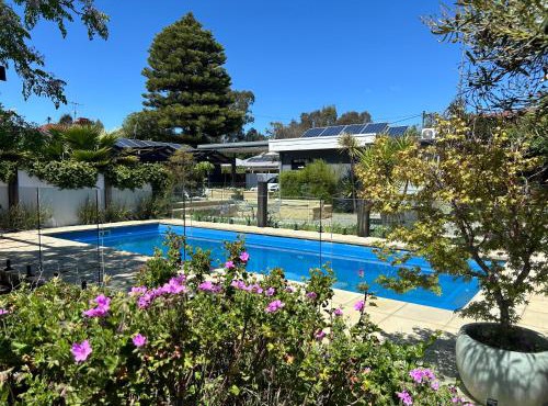 Happy Wanderer Motel Bendigo CHILDREN NOT PERMITTED over 18s only in Bendigo