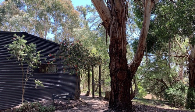 inthelonggrass cottage in Barwon Downs