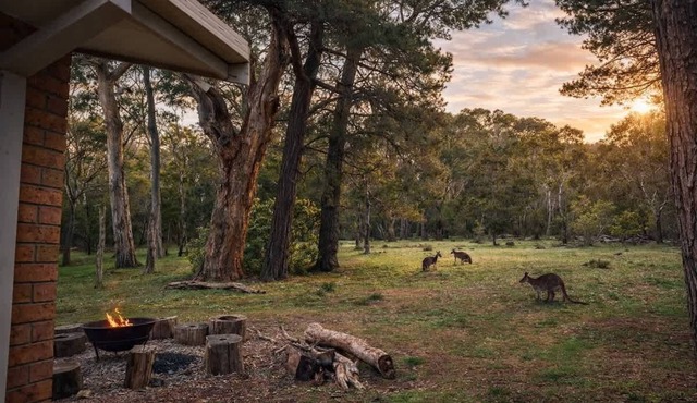 Kangaroo House in Halls Gap