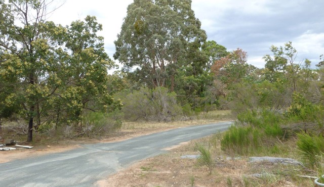 kangaroo valley - wildlife in Coimadai