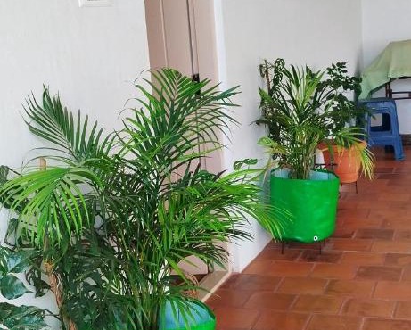 Komorebi Home stay
