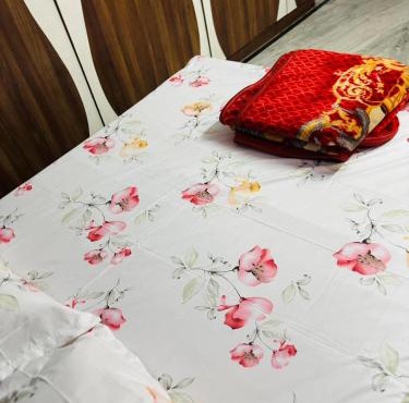 Lara Homestay duplex 3bhk