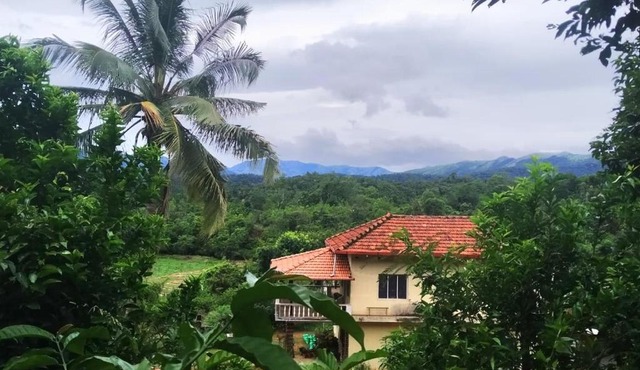 Mandagadde homestay sringeri