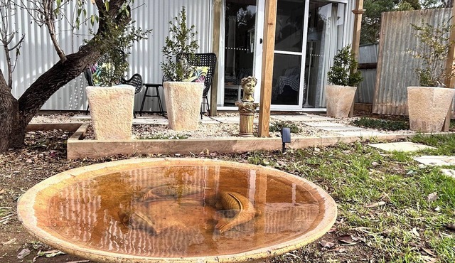 Modern, cosy, studio retreat. 32 square metres of living. Easy access to town. in Strathalbyn