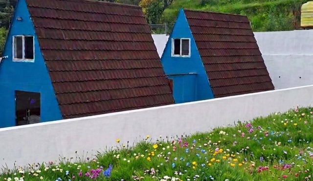 Monal huts nature stays in champawat India in Punaithi