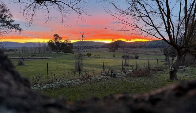 Murra Murra Homestead in GREG GREG