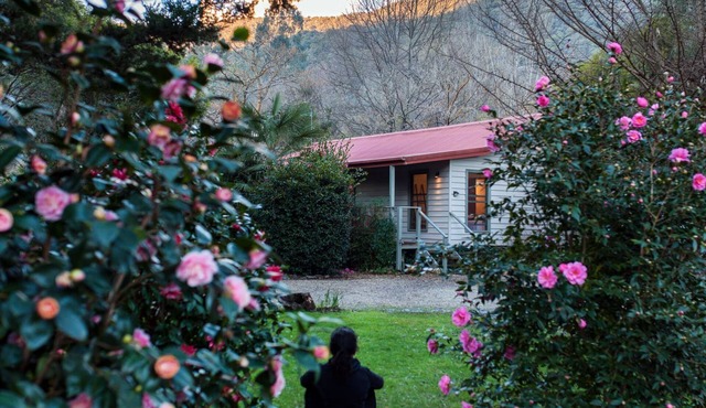 Mystical View Cottage in Wandiligong