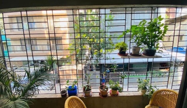 Nature Inspired Sun Drenched 1BR in Bandra in Mumbai