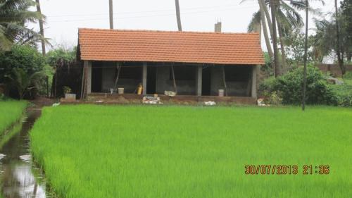 Ocean Sparrow Home Stay