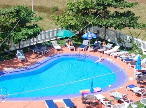 Palmarinha de Goa