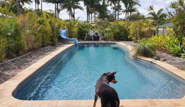 Peace and Tranquility by the pool in NINGI