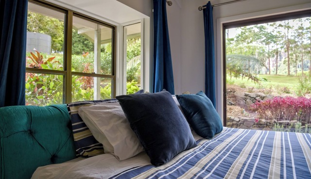 Rainforest Retreat: 2 Private Homes w/Pool & Creek | Byron Hinterland in Upper Coopers Creek
