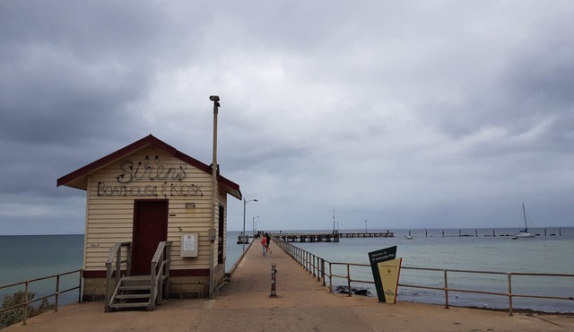 Rigby's cozy hideout in St Leonards