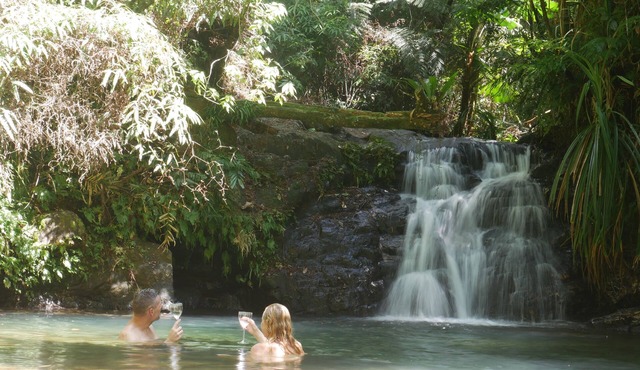 Romantic rainforest retreat with magical waterfall in Cow Bay