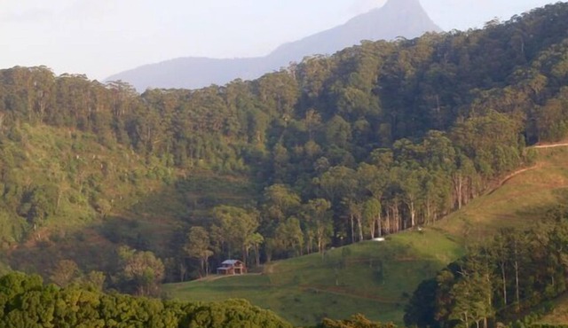 Romantic Rise Farm - Byron Bay Hinterland in Upper Burringbar