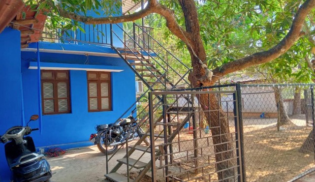 Seashell in Madgaon