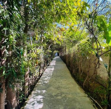 Sukha's Sepna Village