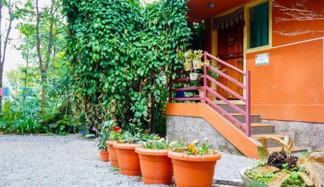 Tat Tvam Asi Organic Farm Stay - Robin in Attigundi