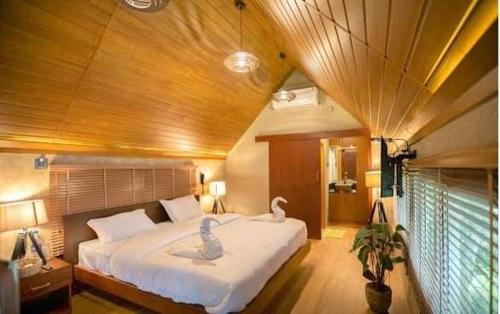 The Brook Serene - Nature Themed Boutique Resort Kollam