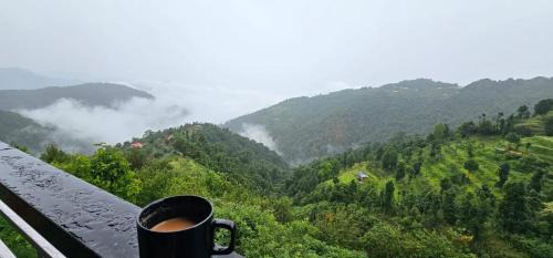 The Kanatal Greenhood