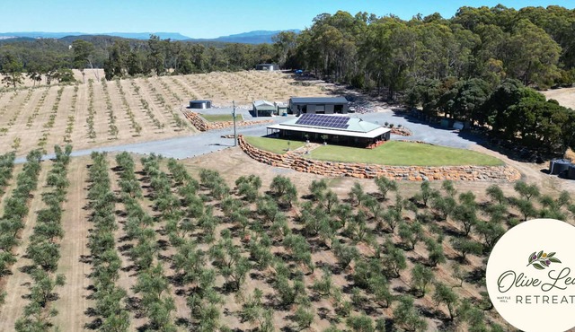 The Olive Leaf Retreat in Latrobe
