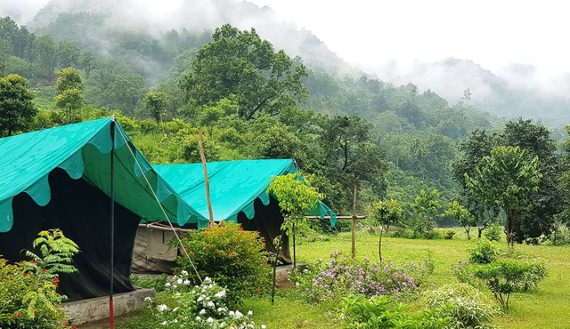 The Raajas - Camp & Resorts in Yamkeshwar