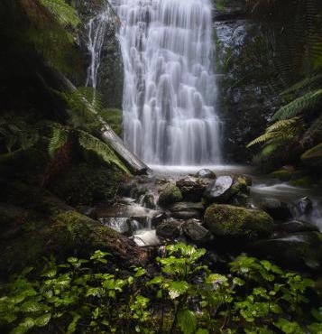 The Source, Otways in Tanybryn
