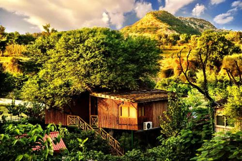 The Tree House Resort, Jaipur- A Club Mahindra Associate