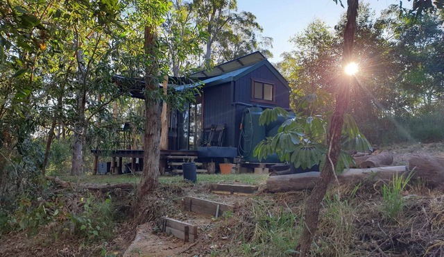 Tiny in The Trees - Cute, Spacious Tiny House set privately amongst the trees. in Bollier