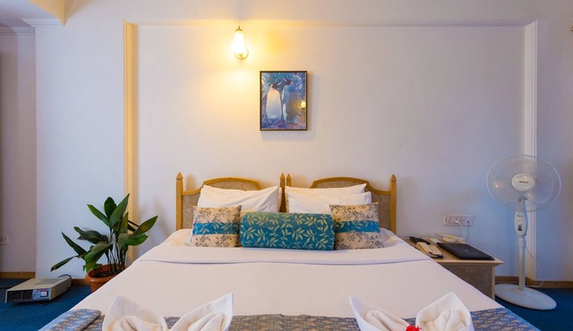 Toshali Royal View Resort in Shimla