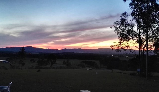 Vineyard Hill in Lovedale