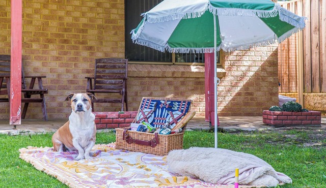 Waves And Moore - Beautifully presented home in Guilderton